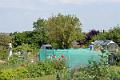 Allotments view